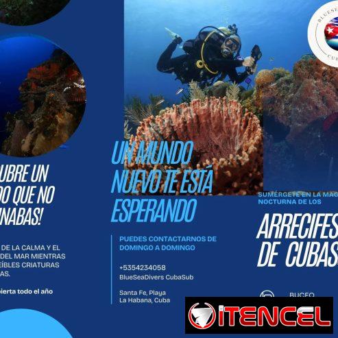 Experiencia inolvidable de Buceo