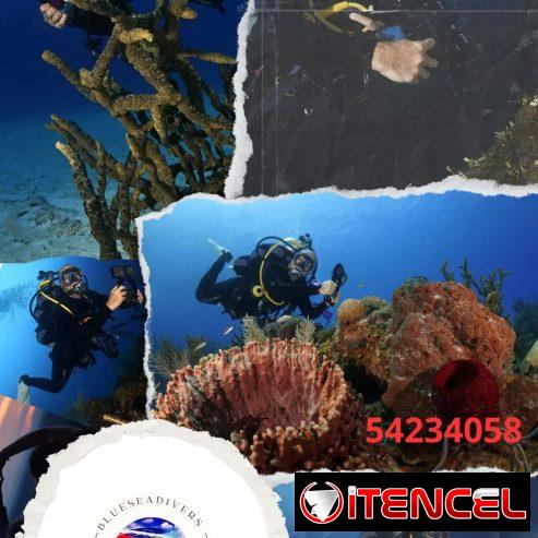 Experiencia inolvidable de Buceo