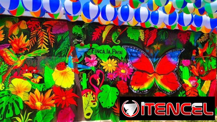 Pinturas Instagraneables Muros Decorativos
