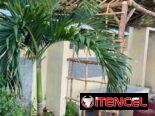 Oferta especial 🏡☀️ playa piscina Guanabo
