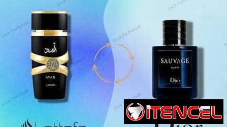 Busco gestores de ventas vendo perfumes originales y también hay réplicas excelentes ganancias