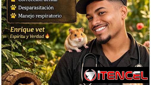 Veterinario de hamster y curieles, veterinario a domicilio