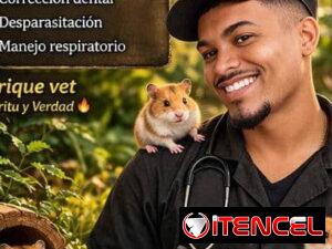 00b1bd5a1b9f4a01dcbd32c98093fd61f6494b9a771d20a8d9c15bec340b7d69