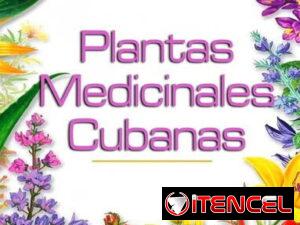 00f552f655c76f5a2cce2850a359ff5d5643a70c6697df450709657f95ef2191-2