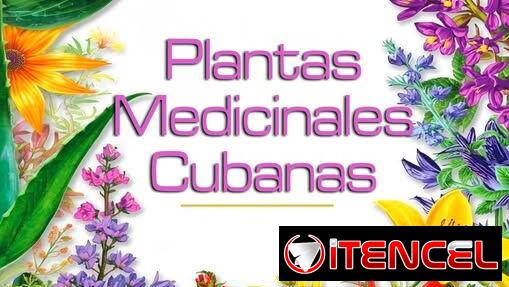 LIBRO DIGITAL DE MEDICINA NATURAL CUBANA A LA VENTA. SU BOTIQUIN EN CASA