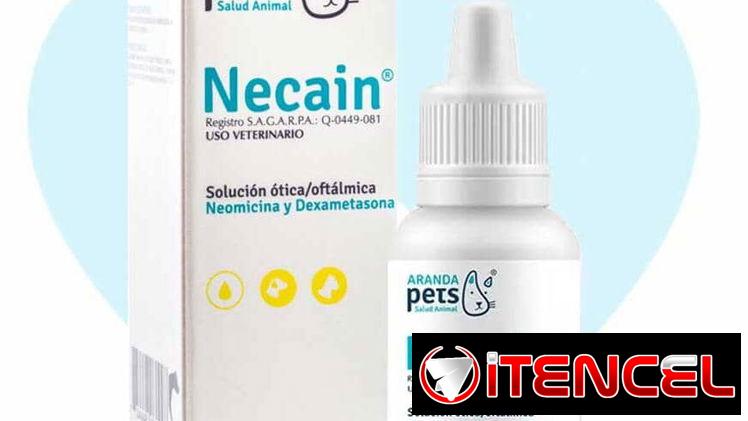 Necain