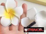 Accesorios para el verano