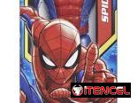 🕷️ SPIDER MAN TITAN HERO🕸️