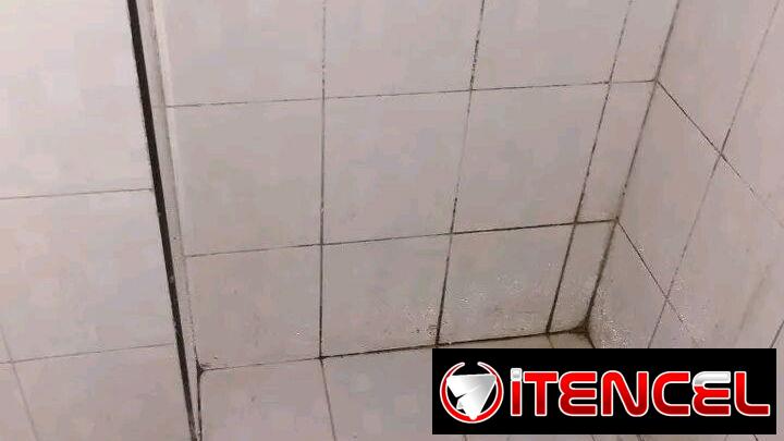 Servicio de limpieza