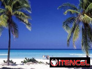 018693512db25015cacb253176329c44e73ff61bad4048486c0bd18b2d1c9669