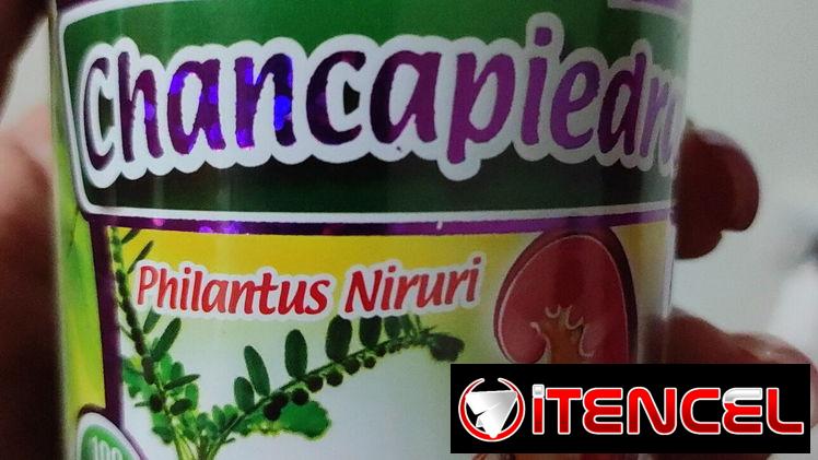 Chanca piedra para romper cálculos renales y de vesícula