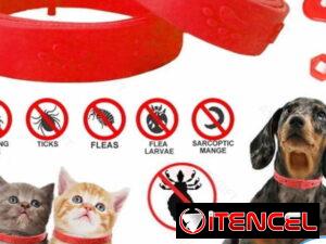 01d05db1befac832ce859fb79aaf542ec126d99232b6dfba556a37274ca6d734