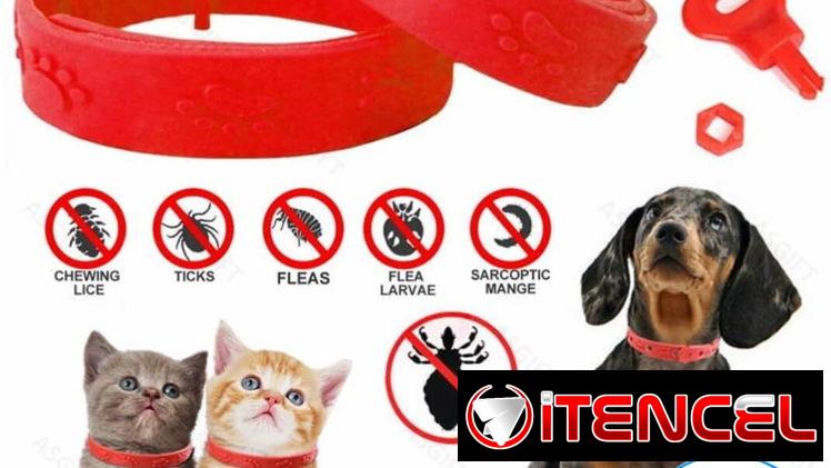 Collar antipulgas para perros y gatos pequeños y medianos