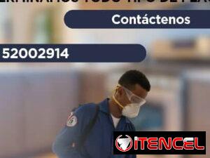 0210420e928daa35757347f5d324f07a9e4e684b8c90cd7a3e4499f0582cb6ee-2