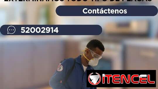 Fumigación Profesional AntiBicho