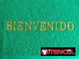 Alfombra de Bienvenido
