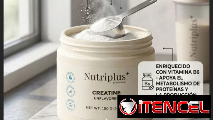 CREATINA NUTRIPLUS