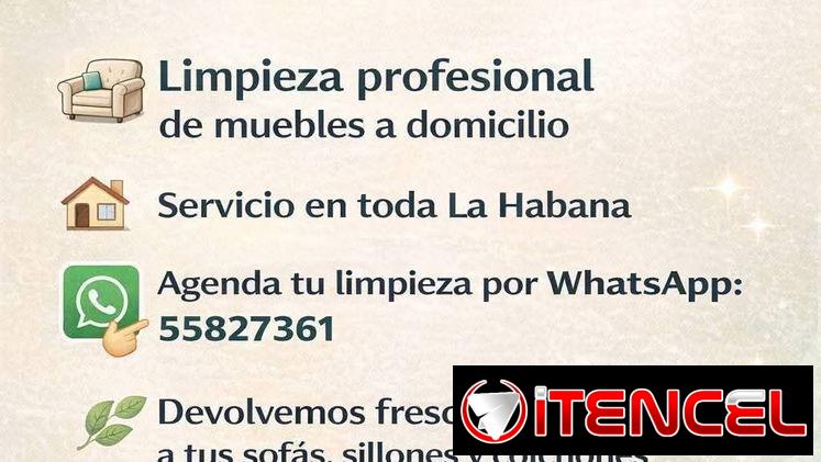 ​🧼 Limpieza Profesional: Muebles, Autos, Alfombras y Más 🧼​