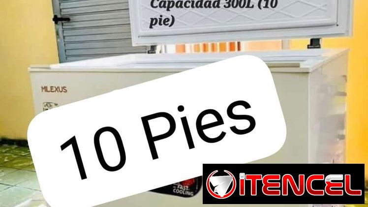 Neveras Frezzes de 10 Pies Cúbicos y Neveras Exibidoras de 20 Pies Cúbicos