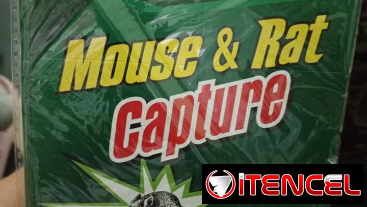 Trampas de pegatinas para ratones super efectivas