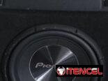 Sucbufer con planta 250usd