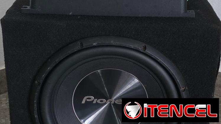 Sucbufer con planta 250usd