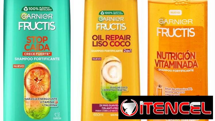 Champu garnier 2 en 1 formato 650 ml original