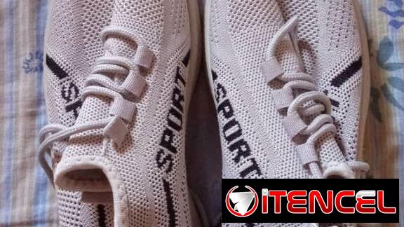 Tenis