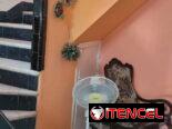Venta de Casa Totalmente Independiente Playa 100mil usd 53582376