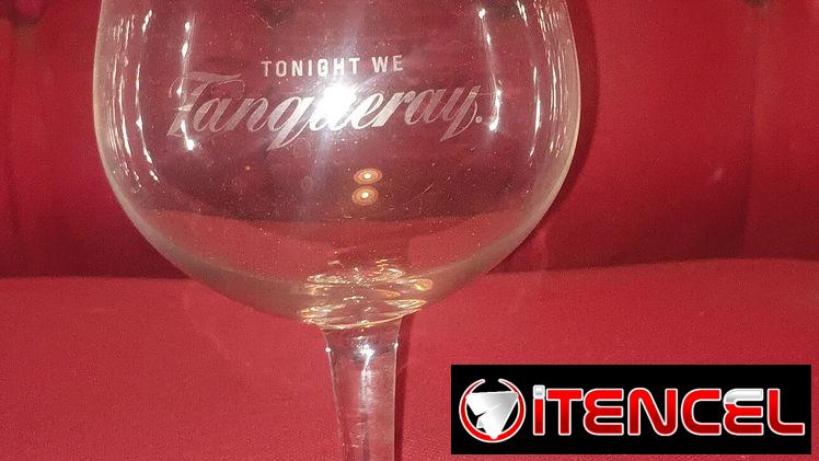 Copa para Gin tonic