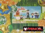Set decorativo 100 pcs Granja de Zenon M29(TPEx)