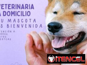 048a803ab91fdd23b644f788c6316e05489f32533e659e70e7374121256eb1f5