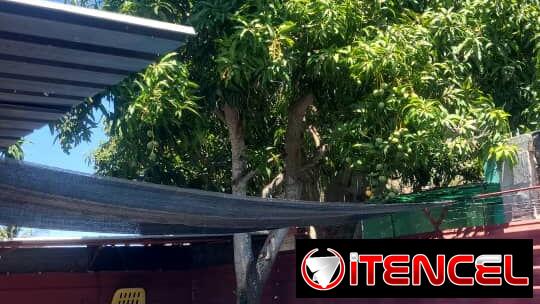 SE RENTA CASA DE DOS HABITACIONES EN A 3 CUADRAS DE LA PLAYA DE GUANABO.54026428