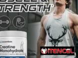 Creatina Monohidratada Essentials 50 servings