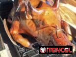 🐷Cerdo asado y comida🌮criolla de la buena😉Escribenos y haremos tu día especial 🥳