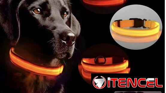 Collares Luminosos Led para perros, con bateria. Nuevos