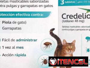 05a7f6c827f82e1f0bb92ec1774a4c9ae6eea69921e882671259ba3050f1d0c4