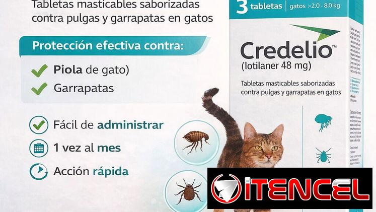 Credelio, antiparasitario externo para gatos