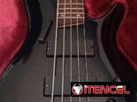 Bajo Ibanez SR405 Activo (2005)  Incluye Estuche Ibanez Original + UPGRADES