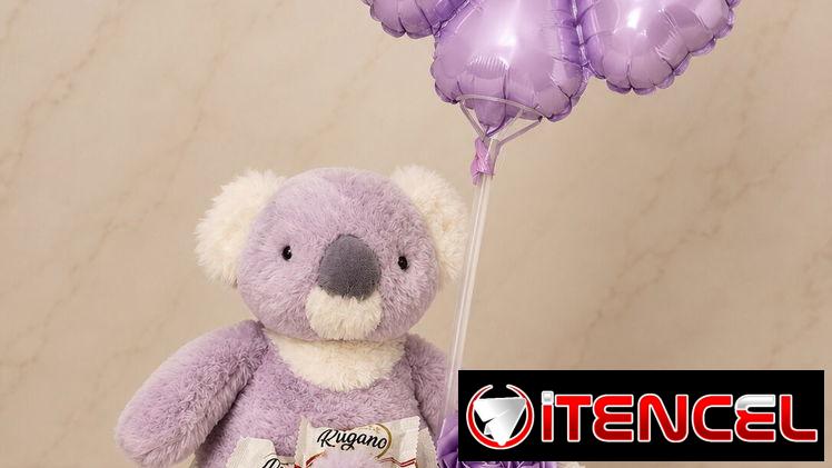 Peluche en Caja con Chocolates y Flores Eternas 🌹🐻✨