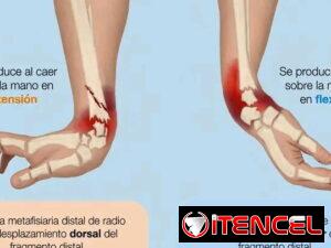 070fac292dba00543af94648328277cb50dbd091879f31ada41235f8732f608e
