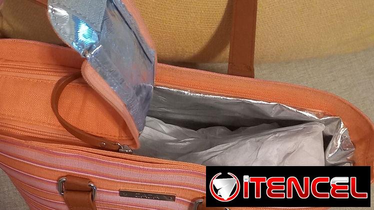 Cartera / lonchera