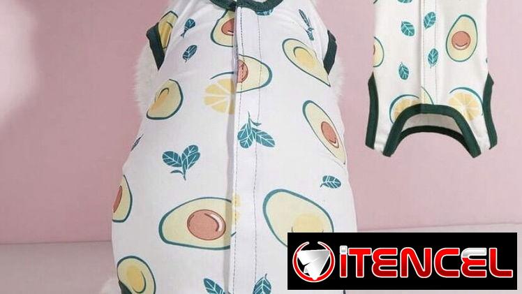 Collar isabelino y ropa pos quirúrgica para mascotas