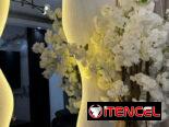 Espejos con y sin luces led