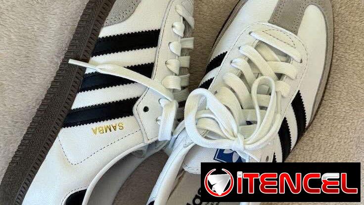 Zapatos Samba