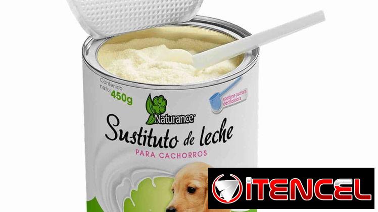 SUSTITUTO De LECHE (450g)