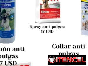 08c717d5dff6815634fde2a55f894fe546375a5957e097591f706a19956723ab-2