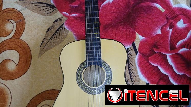 Se vende guitarra en buen estado