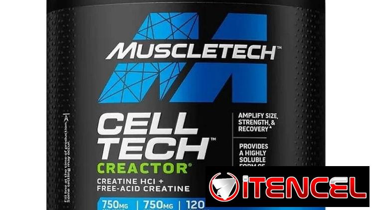 Creatina MuscleTech 120 servicios