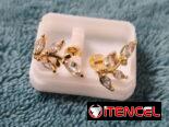Aretes laminados en oro